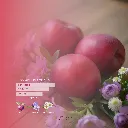 Pure Seduction Fragrance Mist (2).webp