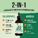 272.webp